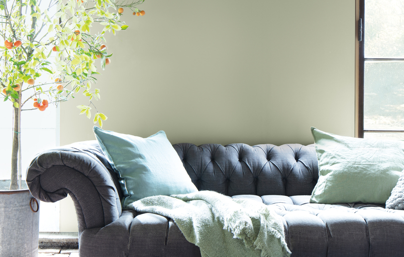 Color Trends 2022
