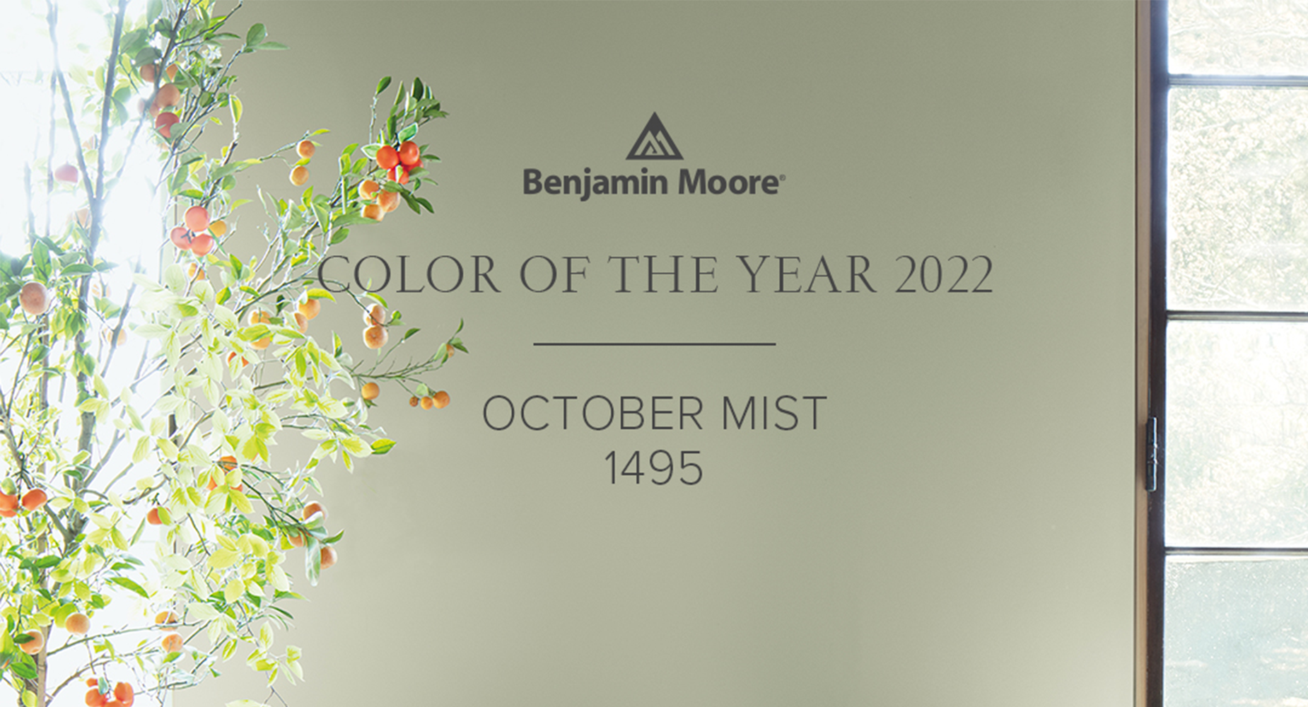 Color Trends 2022