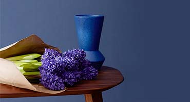 Color Trends 2024