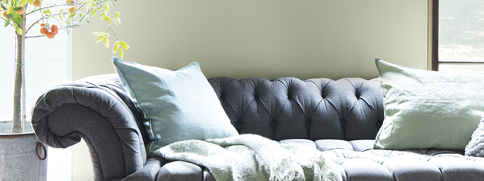 Color Trends 2022
