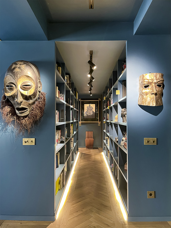 Library in color Blue Danube