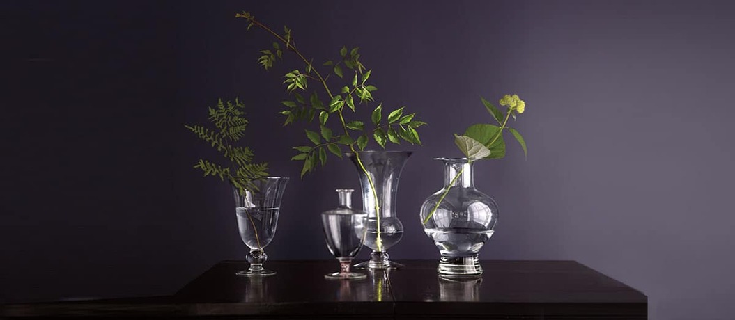Jarrones de vidrio con vegetación contra una pared pintada de color púrpura intenso.