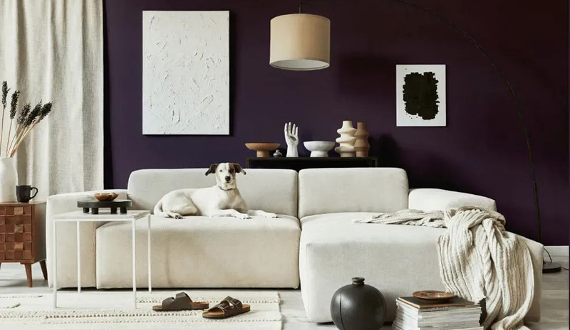 Una sala de estar contemporánea con una pared de color violeta oscuro Black Raspberry 2072-20